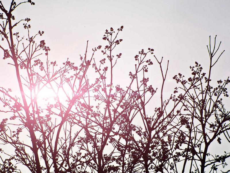 sudoku versus mode screenshot 3